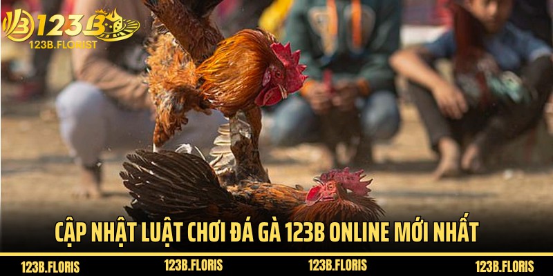 Cập nhật luật chơi đá gà 123B online mới nhất