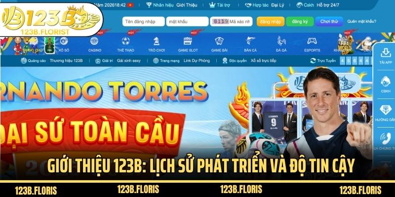 Giới thiệu 123B: Lịch sử phát triển và độ tin cậy
