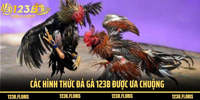 Giới thiệu các hình thức đá gà 123B được ưa chuộng