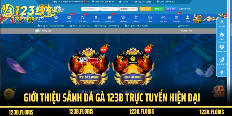Giới thiệu sảnh đá gà 123B trực tuyến hiện đại