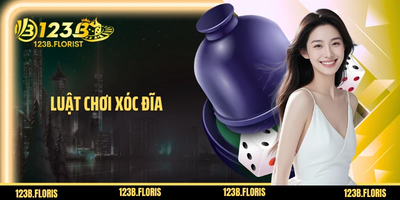 Luật Chơi Xóc Đĩa: Hướng Dẫn Chơi Và Bí Kíp Làm Chủ Ván